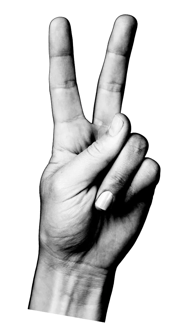 A hand making a peace sign
